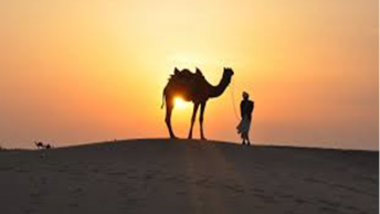 Abu Dhabi Desert Safari 2021